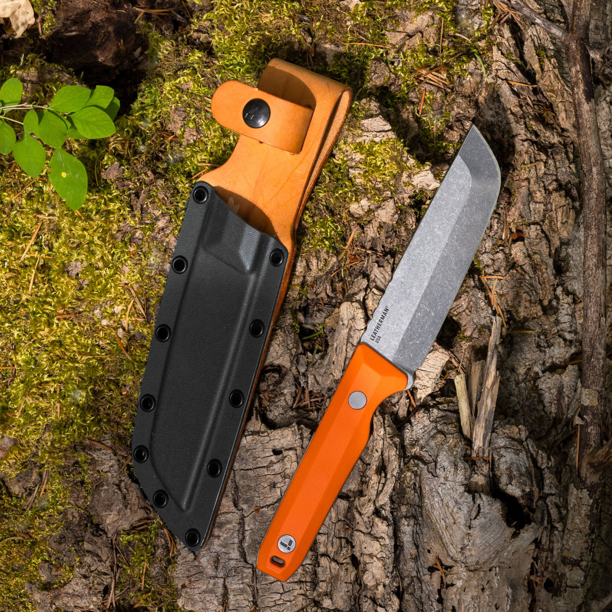 pioneer_sheath_20260402201727_ghn1.jpg